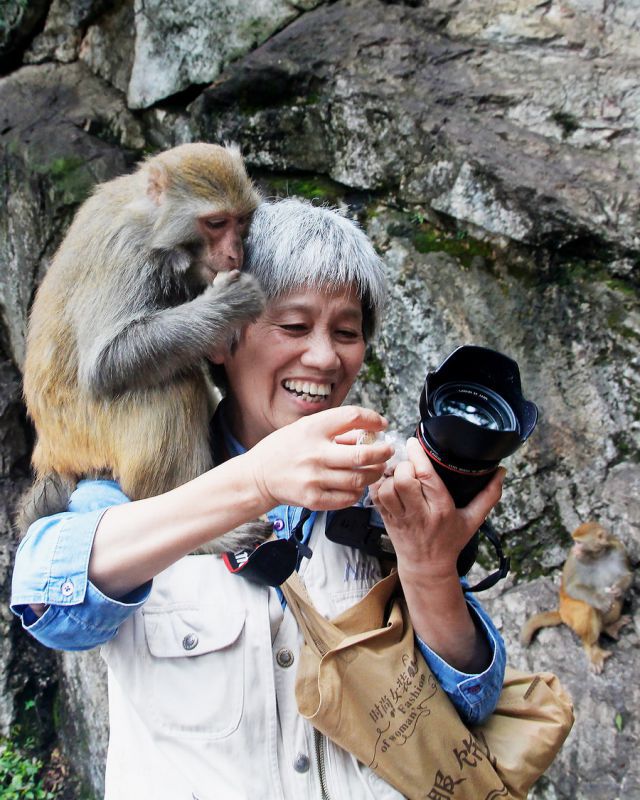 张上和  同乐.jpg